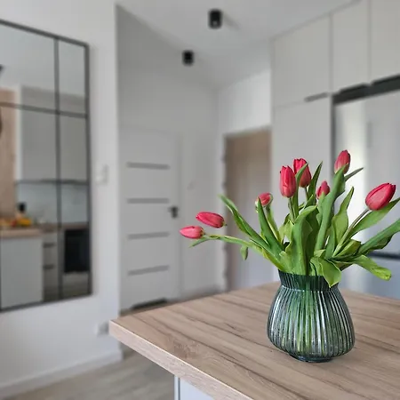 Masurianhome Mono * Ełk